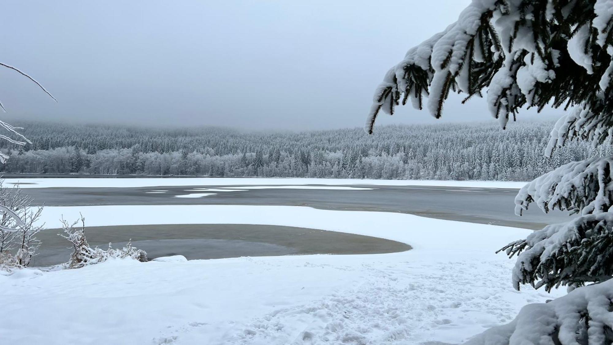 Hauslipno Bungalov Na Lipne Lipno nad Vltavou Esterno foto